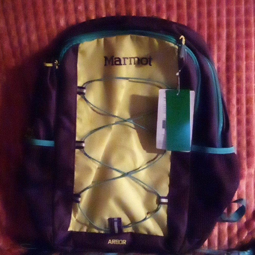 Smaller Size Marmot Back Pack